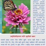 प्रकृतिप्रेमीहरूकाे लागि खुशीकाे खबर