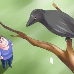 विवेकी मान्छे !