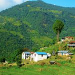 लाग्छ त्यही जाउँ