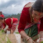 असार पन्ध्र